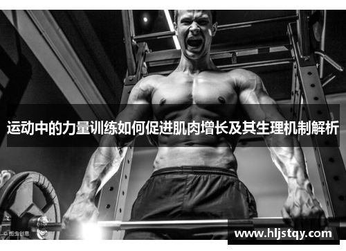 运动中的力量训练如何促进肌肉增长及其生理机制解析